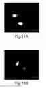 Fig. 37 - Nanoscale imaging of proteins and nucleic acids via expansion microscopy