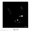 Fig. 40 - Nanoscale imaging of proteins and nucleic acids via expansion microscopy