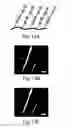 Fig. 41 - Nanoscale imaging of proteins and nucleic acids via expansion microscopy