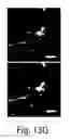 Fig. 44 - Nanoscale imaging of proteins and nucleic acids via expansion microscopy