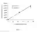 Fig. 08 - Clonal amplification of nucleic acid on solid surface with template walking