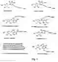 Fig. 02 - LABELLED NUCLEOTIDES