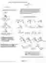 Fig. 04 - LABELLED NUCLEOTIDES