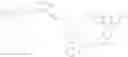 Fig. 08 - LABELLED NUCLEOTIDES