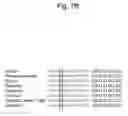 Fig. 10 - DETECTION METHOD FOR GENETIC DISEASE