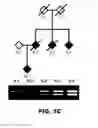 Fig. 03 - Sequences associated with TDP-43 proteinopathies and methods of using the same