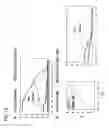 Fig. 19 - METHODS AND NUCLEIC ACIDS FOR THE ANALYSIS OF GENE EXPRESSION ASSOCIATED WITH THE DEVELOPMENT OF PROSTATE CELL PROLIFERATIVE DISORDERS