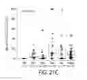 Fig. 27 - Methods using DNA methylation for identifying a cell or a mixture of cells for prognosis and diagnosis of diseases, and for cell remediation therapies