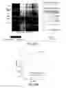 Fig. 32 - Methods using DNA methylation for identifying a cell or a mixture of cells for prognosis and diagnosis of diseases, and for cell remediation therapies