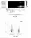 Fig. 47 - Methods using DNA methylation for identifying a cell or a mixture of cells for prognosis and diagnosis of diseases, and for cell remediation therapies