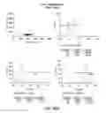 Fig. 79 - Methods using DNA methylation for identifying a cell or a mixture of cells for prognosis and diagnosis of diseases, and for cell remediation therapies
