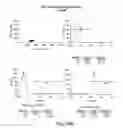 Fig. 80 - Methods using DNA methylation for identifying a cell or a mixture of cells for prognosis and diagnosis of diseases, and for cell remediation therapies