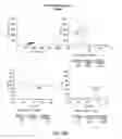 Fig. 84 - Methods using DNA methylation for identifying a cell or a mixture of cells for prognosis and diagnosis of diseases, and for cell remediation therapies