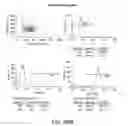 Fig. 91 - Methods using DNA methylation for identifying a cell or a mixture of cells for prognosis and diagnosis of diseases, and for cell remediation therapies