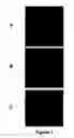 Fig. 02 - Test for the cytological analysis of cervical cells