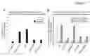 Fig. 09 - Long non-coding RNA expressed in aggressive cancer