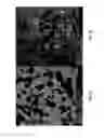 Fig. 02 - Titanium alloys for biomedical applications and fabrication methods thereof