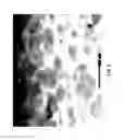 Fig. 03 - Titanium alloys for biomedical applications and fabrication methods thereof