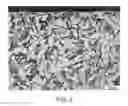 Fig. 06 - TITANIUM SINTERED BODY AND ORNAMENT