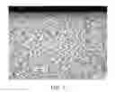 Fig. 07 - TITANIUM SINTERED BODY AND ORNAMENT