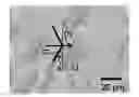 Fig. 01 - METHOD OF MANUFACTURING SiC SINGLE CRYSTAL