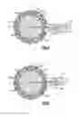 Fig. 04 - Handle alignment adapter for fixed position valve body plumbing fixture applications