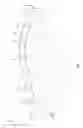 Fig. 02 - Lighted inflatable apparatus