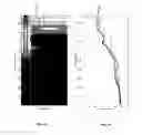Fig. 04 - Method for interpretation of distributed temperature sensors during wellbore operations