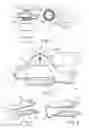 Fig. 02 - Component of a valve drive of an internal combustion engine