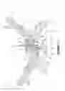 Fig. 02 - Rotary internal combustion engine with pilot subchamber