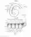 Fig. 03 - Air intake device and air intake control valve