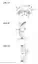 Fig. 08 - Engine cooling structure