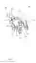 Fig. 09 - Dual axial fan with flexible airflow and bracket system