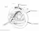 Fig. 11 - DRIVING ASSEMBLY
