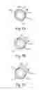 Fig. 08 - Pump sleeve