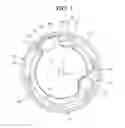 Fig. 07 - Scroll compressor having an oil separation space