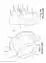 Fig. 06 - Bushing for lift axle/suspension systems