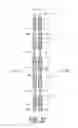 Fig. 23 - Bicycle chain