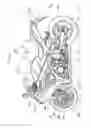 Fig. 02 - Vehicle transmission system