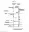 Fig. 07 - Control apparatus for vehicle