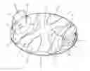 Fig. 01 - Valve disk