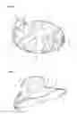 Fig. 04 - Valve disk