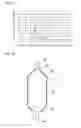 Fig. 09 - Scale trapping unit and water heater
