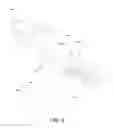 Fig. 06 - Firearm
