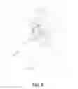 Fig. 09 - Firearm