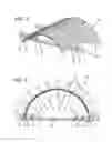 Fig. 04 - Pyrotechnic carrier structure
