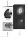Fig. 16 - Systems and methods for high-contrast, near-real-time acquisition of terahertz images