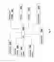 Fig. 11 - System, method and application for estimating pneumatic pressure state of vehicle tires using a handheld device