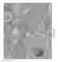 Fig. 16 - Miniature serial sectioning microtome for block-face imaging