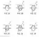 Fig. 04 - Automatic aseptic sampling valve for sampling from enclosed containers